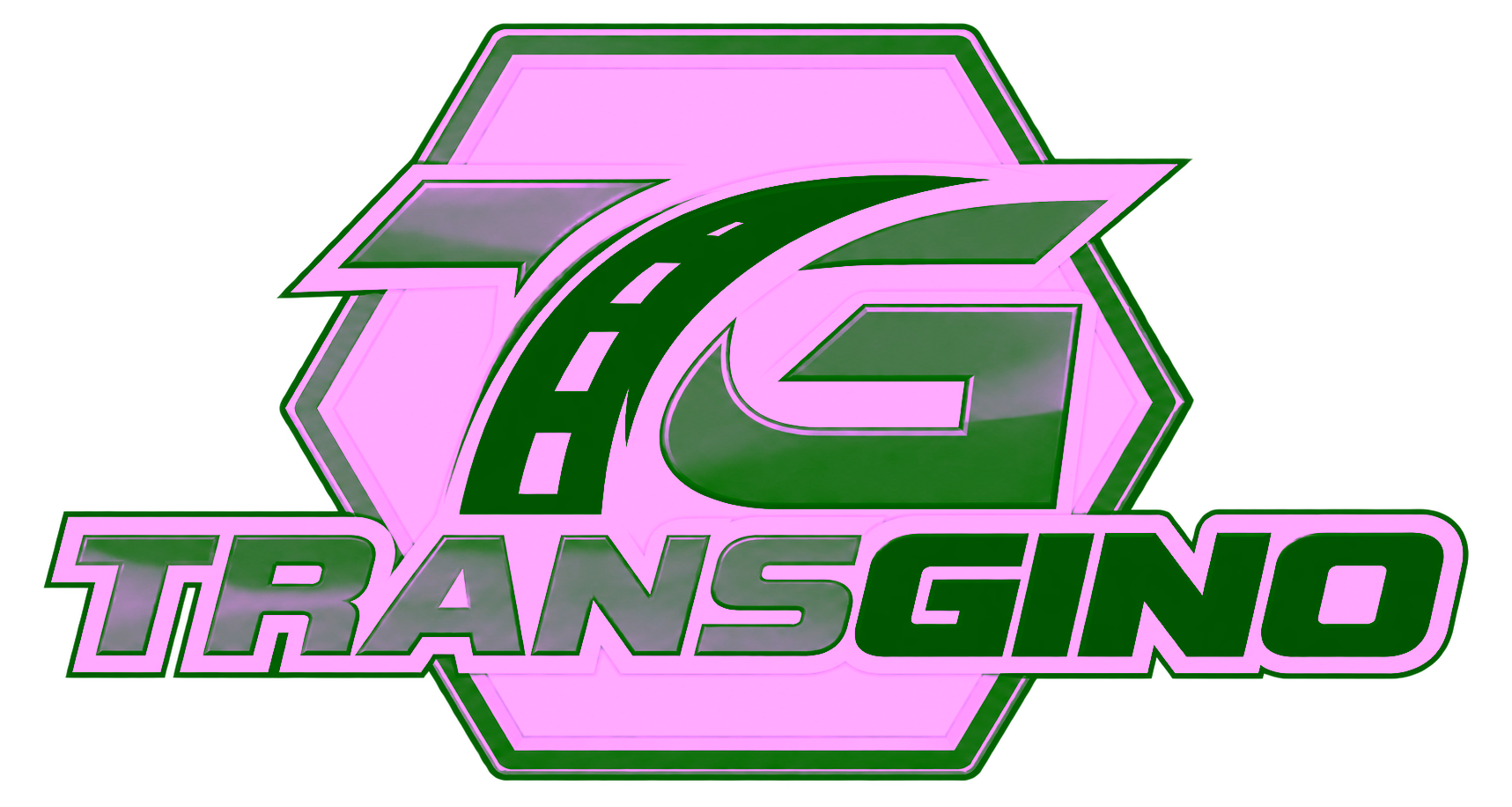 TransGino — Fletes y Mudanzas